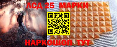 шишки Кимры