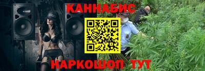 шишки Кимры