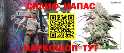 шишки Кимры
