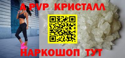шишки Кимры
