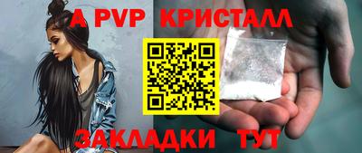 шишки Кимры