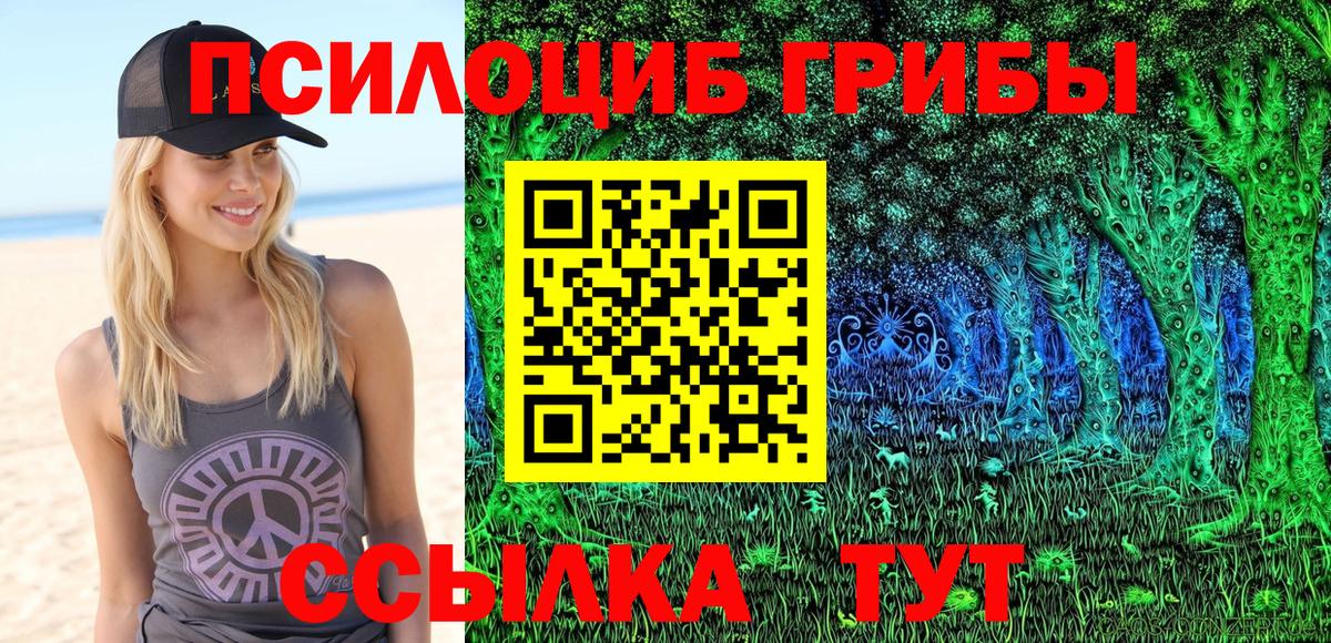 Галлюциногенные грибы мицелий Грязи