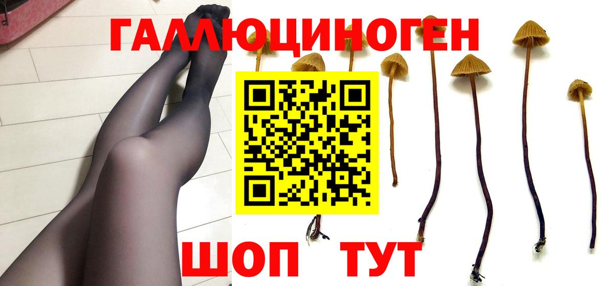 Галлюциногенные грибы GOLDEN TEACHER  Вход с VPN  Грязи 